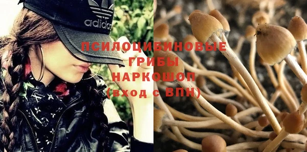 прущие крисы Баксан