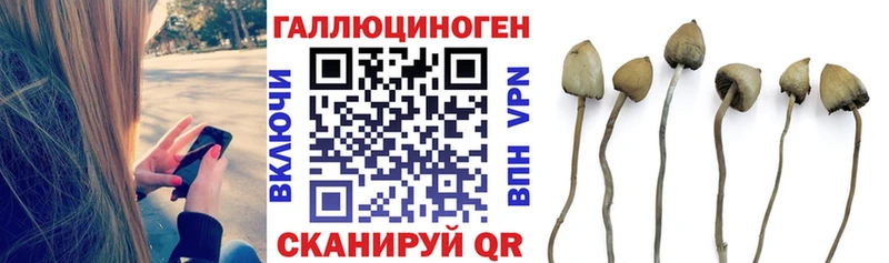 blacksprut онион  даркнет сайт  Сибай  Псилоцибиновые грибы Psilocybine cubensis 